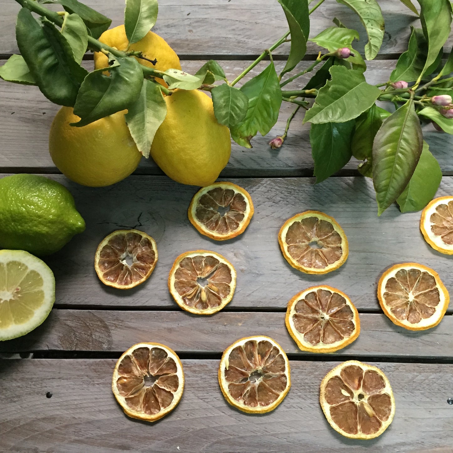 Rodajas de limón deshidratado 100% natural especial coctelería
